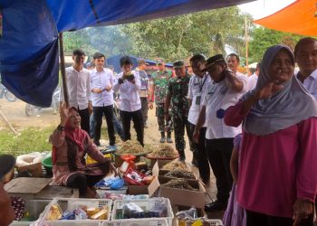 Tim TPID Tinjau Lansung Harga Pasar. Foto: Jp