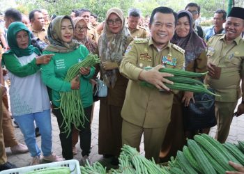 Gubernur Jambi Al Haris, launching Gerakan Pangan Murah (GPM) secara serentak Provinsi Jambi di Kabupaten Batanghari. Foto: Dok Kominfo Prov Jambi